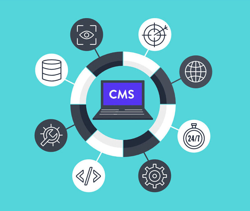Choosing the Content Management System (CMS)