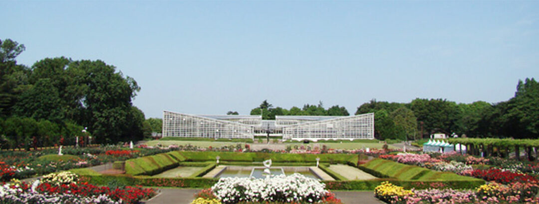 Visiting Jindai Botanical Garden